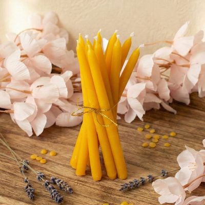 Minimalistične svečke 10 kosov iz čebeljega voska